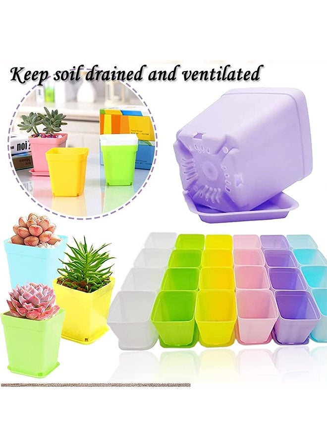 Geustos 48 Pack 3 Inch Colorful Plastic Plant Pot, Plastic Square Nursery Pots, Seedling Nursery Pots with Saucers for Garden, Home, Office, Porch Decor, Garden Gifts - Image 5